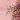 Light Pink/Multi